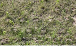 Photo Texture of Grass